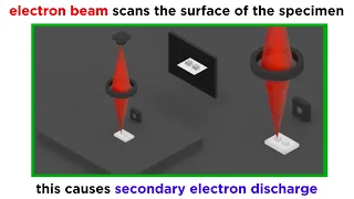 Electron Microscopy (TEM and SEM)