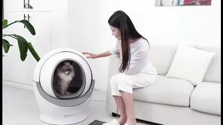 Автоматический туалет для  крупных пород кошек GLOBE BB01