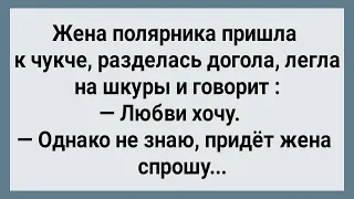 Как Жена Полярника к Чукче Пришла! Сборник Свежих Анекдотов! Юмор! Позитив!