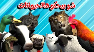 اغنية شو بيحكوا الحيوانات🥳 | اغاني اطفال بون بون