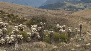 DUITAMA BOYACA, leche quesos, truchas y naturaleza Campo - Mundo del Campo