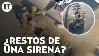 ¿Real o mentira? Captan cuerpo de una supuesta sirena muerta en playas de Australia