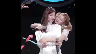 Twice gay moment.. 😸 | Jeongyeon 😗 Sana love