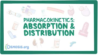 Pharmacokinetics: Drug absorption and distribution