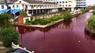 Chinese River Mysteriously Turns BLOOD RED Overnight