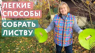 Как легко собрать опавшие листья: мой лайфхак для ленивых