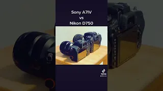 Sony a7iv + 85/1.8 vs Nikon D750 + 85/1.4