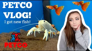 PETCO VLOG! | I Got New Fish For My Freshwater Community Tank! | ItsAnnaLouise