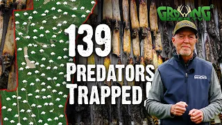 139 Predators Trapped: How This is Impacting Turkey Populations! (758)