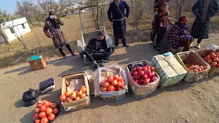 Впервые Видим такое количество дешевого Граната!!!Термез!!!!Узбекистан!!