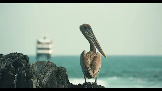 Cruising Galapagos onboard Ecoventura Relais & Châteaux Luxury Expedition Yachts