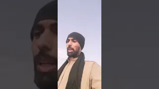 لماذا لا امنع الحصان من العض شخصيا