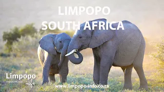 Limpopo in South Africa