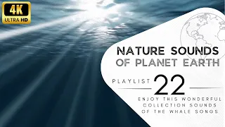 3 hours of pleasant natural sounds - whale singing.