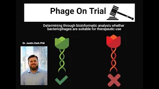 Phage On Trial—Bioinformatic analysis of therapeutic phages