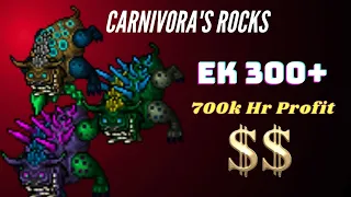 Tibia Hunt l EK 300+ 700K Hr Profit l Carnivora's Rocks Port Hope