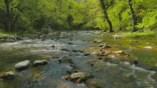 Rivière 4K relaxation 3H - Ultra HD - Nature & Chants d'oiseaux - Travail & Méditation