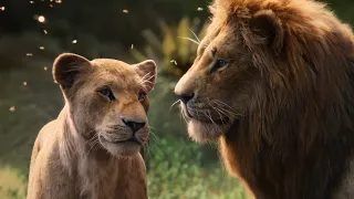 The Lion King (2019) - Can You Feel The Love Tonight (Russian) 🇷🇺 [Audio Only]