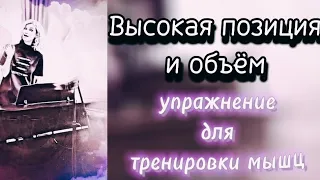 Упражнение для удерживания мышц в высокой позиции и объёма.