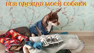 Вся одежда моей собаки🐶