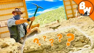 Digging Up Jurassic Treasure!