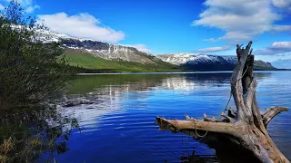 1 часть. Сейдозеро. Одиночный (и не только) пеше-водный поход. Июнь 2019.