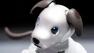 5 OF THE COOLEST ROBOTS OF THE FUTURE