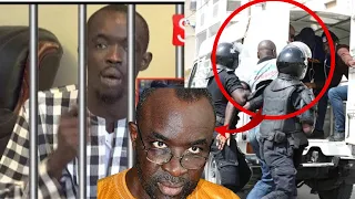 Junior Cissé Lo le fils de Moustapha Cissé Lo finalement arrêté et déféré:voici les vrais raisons