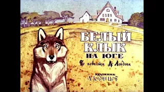 Диафильм Белый Клык на Юге /по повести Джека Лондона/ 1975