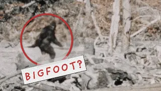 The Most Convincing Bigfoot Evidence