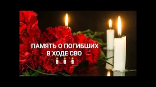 Посвящвется бойцам 56 десантно-штурмового полка