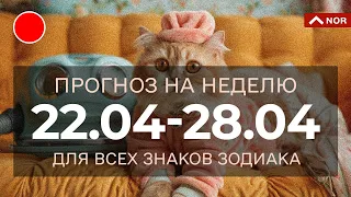 Прогноз На Неделю С 22.04 По 28.04.2024 для Вас и Вашей семьи/ Лилия Нор