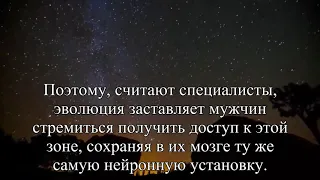 Найден ответ, почему мужчин привлекает женская грудь  — Статья