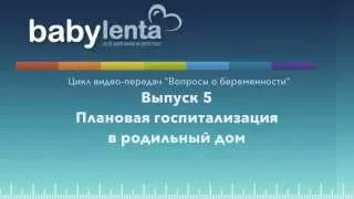 Плановая госпитализация в роддом