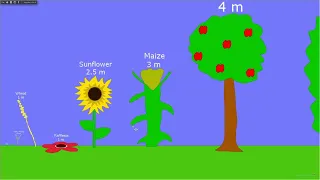 Plants Size Comparison