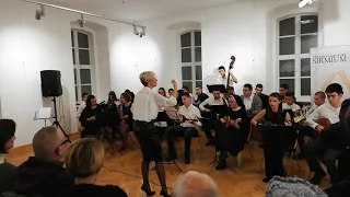 Binički: Marš na Drinu - Tamburaški orkestar
