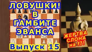 Шахматы ♔ ТИПИЧНАЯ ЖЕРТВА СЛОНА на f7! ♕ в дебюте ГАМБИТ ЭВАНСА! ⚔ Шахматные ЛОВУШКИ!