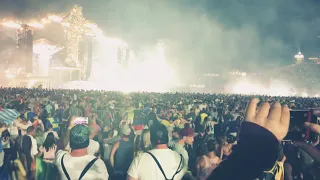 INSANE Crowd - Control @ Tomorrowland 2018 • DimitriVegas&LikeMike
