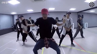 [Mirrored] [EXO] LAY 'SHEEP' Dance Pratice