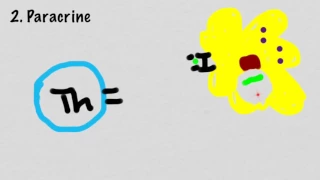 Mechanisms Of Cytokine Signaling