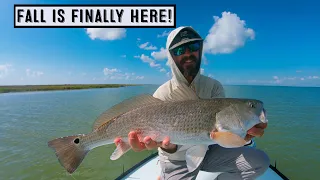 Redfish On The Fly: Fall Is Finally Here!