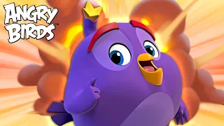 Angry Birds | Spend The Day With Bomb!