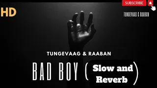 Bad Boy - Tungevaag and Raaban | Slowed And Reverb || Lo-fi Hollywood Songs || Musick Music