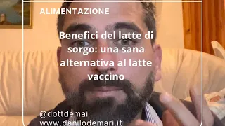 Benefici del latte di sorgo: una sana alternativa al latte vaccino