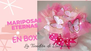 Mariposas eternas en caja rosa✨💗✨ //San Valentín