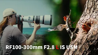 이 정도면 괴물이라는 칭호를 얻어도 되는거 아닙니까 RF100-300mm F2.8 L IS USM리뷰