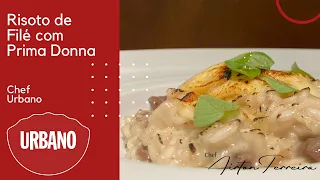 Chef Urbano  - Risoto de Filé com Prima Donna