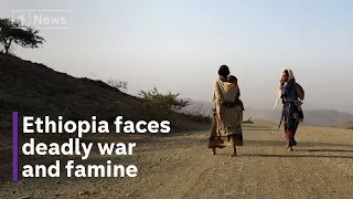 Deadly combination of war and drought leaves Ethiopia facing famine