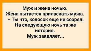 Жена в Постели Хочет Приласкать Мужа! Сборник Смешных Анекдотов! Юмор!