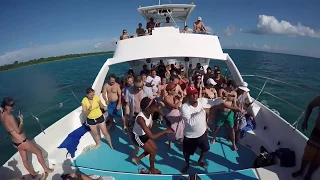 Party Catamaran to Saona & Catalina Islands